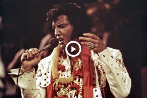 Elvis Presley – I’ll Never Fall In Love Again