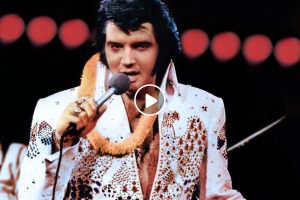 Elvis Presley – What Now My Love