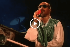 Stevie Wonder – I Just Called To Say I Love You