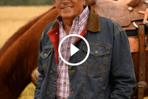 Living For The Night – Song by George Strait